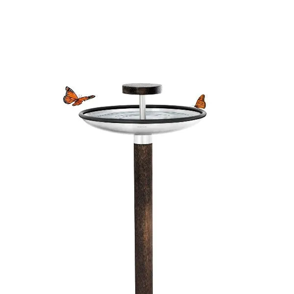 Bird Feeder With Bird Bath Option